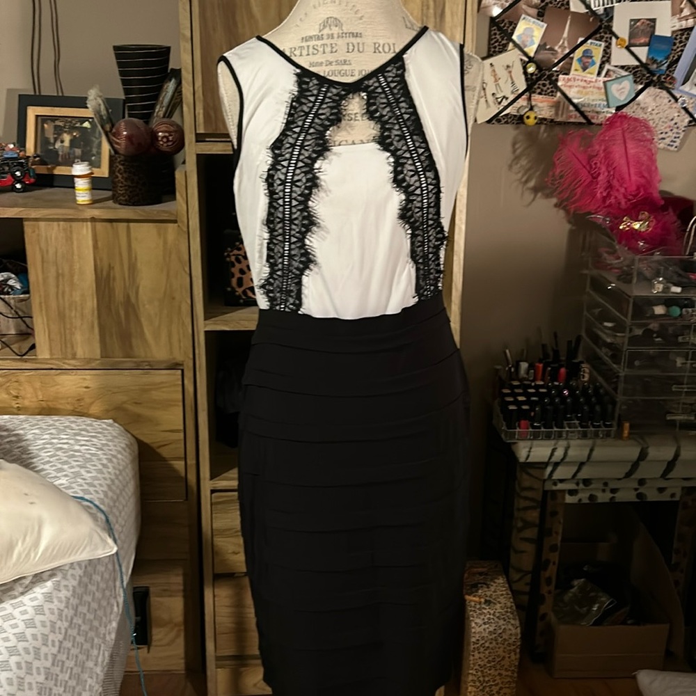 Alexa B Black & White Stretch Dress - 10